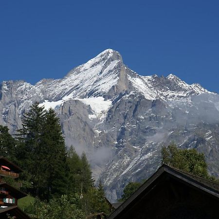 Apartment Bäreggblick - GRIWA RENT AG Grindelwald Exterior foto